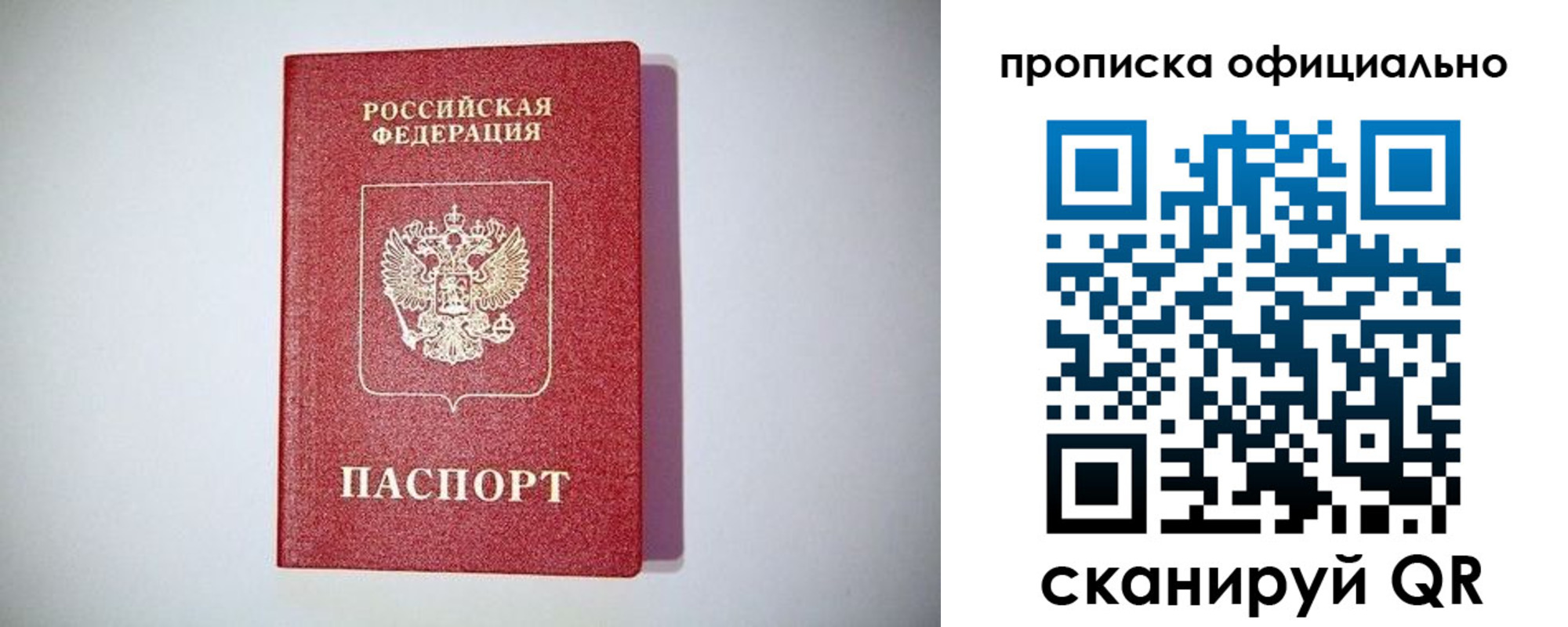 прописка в Купино